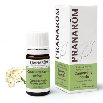 Ätherisches Öl der edlen Kamille Pranarom - Flasche mit 5 ml