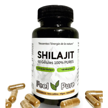 Shilajit Feel Pure - 60 Kapseln
