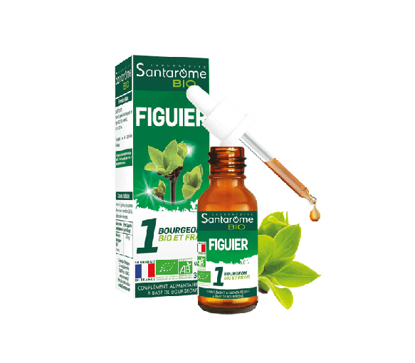 1 BIO und frischer Feigenknospe Santarome - Flasche mit 30 ml