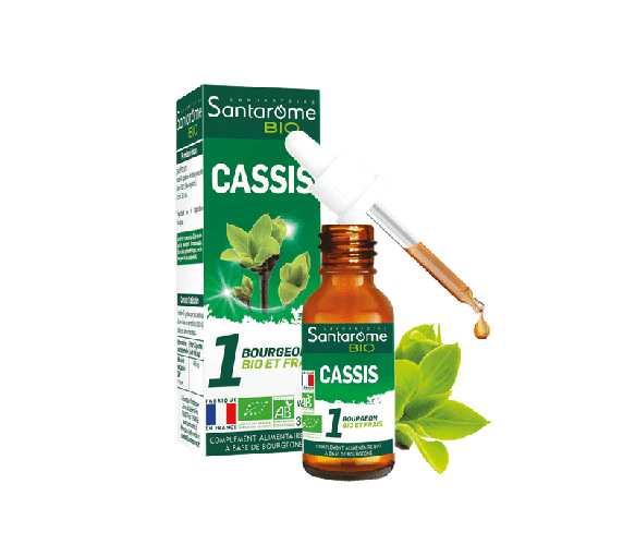 1 Bio-Knospe und frische schwarze Johannisbeere Santarome - Flasche mit 30 ml