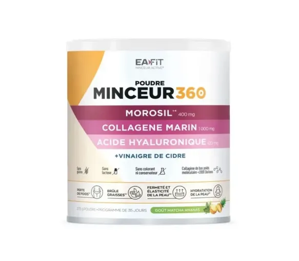Mager 360 Geschmack Matcha Ananas Eafit - Dose mit 275g - image 1