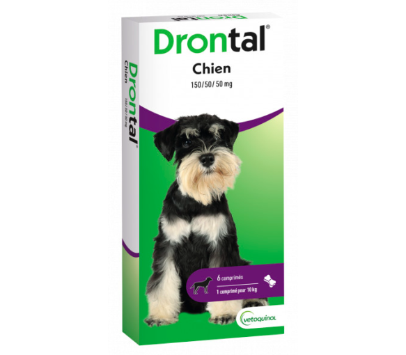 Dontral Hundetabletten appetitlich mit Fleischaroma Vetoquinol - Packung mit 6 teilbaren Tabletten