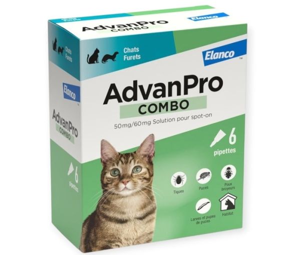 AdvanPro Kombi für Katzen und Frettchen Elanco - Packung mit 6 Pipetten