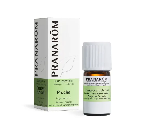 Pranarôm Hemlock-Ätherisches Öl - 5ml Flasche