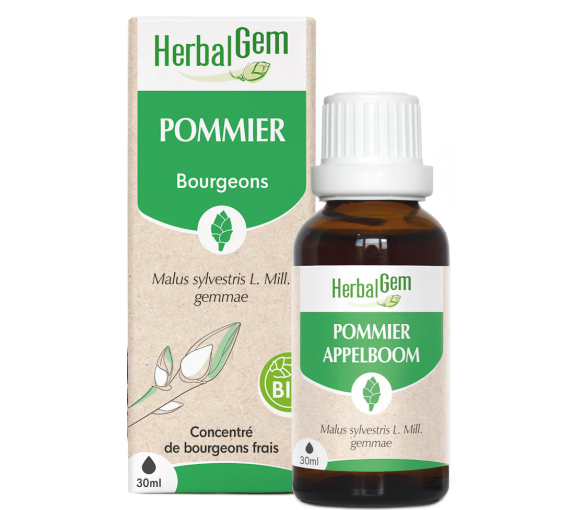 BIO Apfelbaum Herbalgem - Flasche 30ml