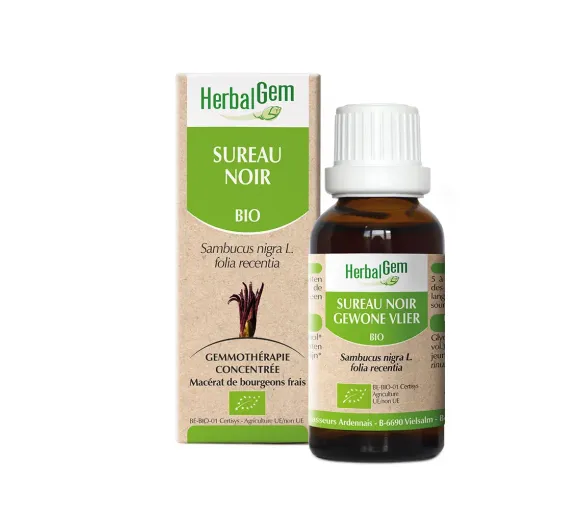 Schwarzer Holunder junge Blätter HerbalGem - Flasche 30 ml