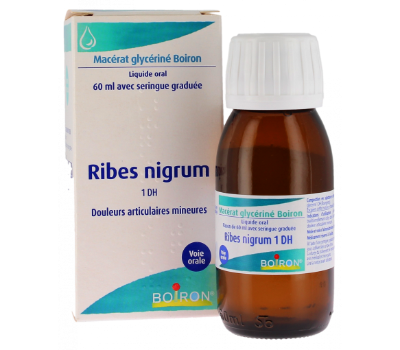 RIBES NIGRUM BOURGEONS Boiron - Flasche mit Glycerin-Mazerat 60 ml - image 1