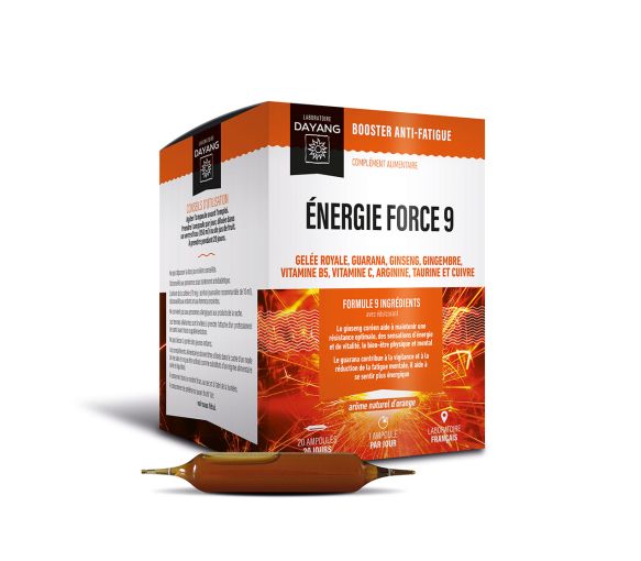 Energie Kraft 9 Dayang - Schachtel mit 20 Glühbirnen - image 1