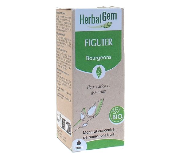 BIO Feigen Herbalgem - 30 ml