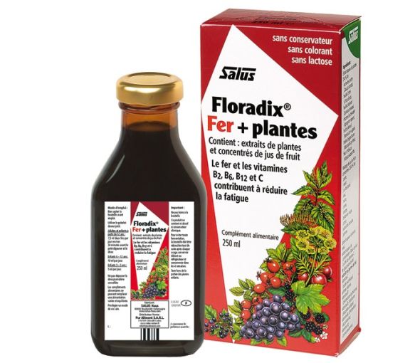 Floradix Eisen + Pflanzen Salus - Flasche 250 ml