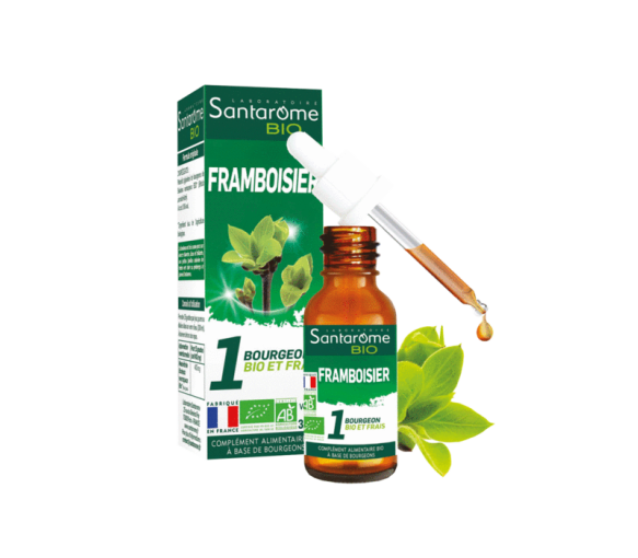 Himbeer-Bourgeon bio Santarome - Pipettenflasche 30ml