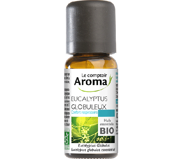 Ätherisches Öl Eucalyptus globulus bio Le Comptoir Aroma - Flasche mit 10 ml - image 1
