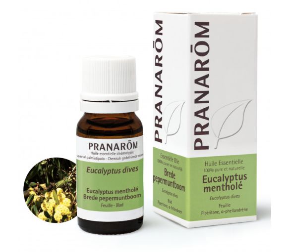 Ätherisches Öl Eukalyptus Menthol Pranarôm - Flasche mit 10 ml