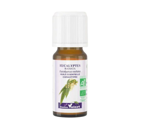 Ätherisches Öl Eukalyptus radiata Bio Dr. Valnet - 10 ml - image 1
