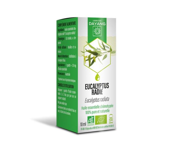 Ätherisches Öl Eukalyptus radiata bio Dayang - Flasche mit 10 ml