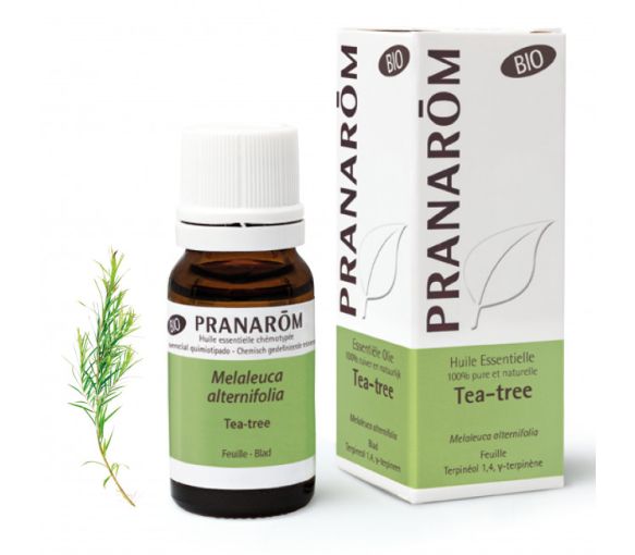 Bio Teebaumöl Pranarom - 10ml Flasche