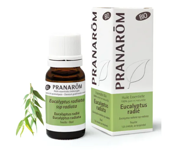 Bio ätherisches Öl Eukalyptus radiata Pranarôm - Flasche mit 30 ml