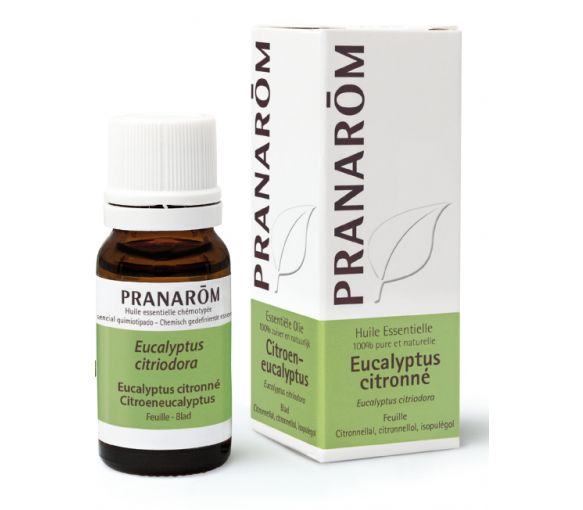 Ätherisches Öl von Zitrone-Eukalyptus Pranarôm - Flasche mit 10 ml