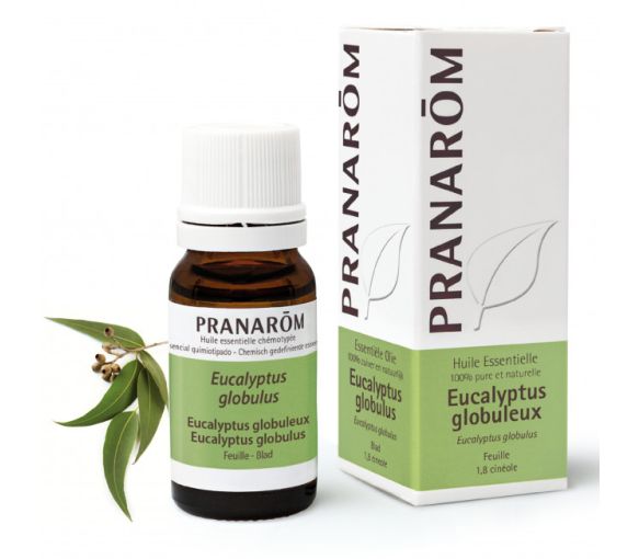 Ätherisches Öl von Eukalyptus globulus Pranarôm - Flasche mit 10 ml