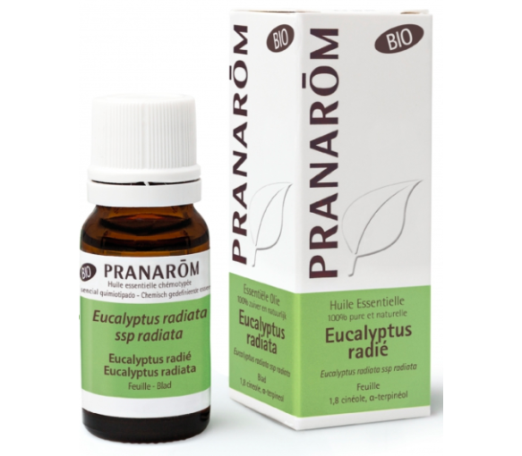 Bio ätherisches Öl von Eucalyptus radiata Pranarôm - Flasche mit 10 ml