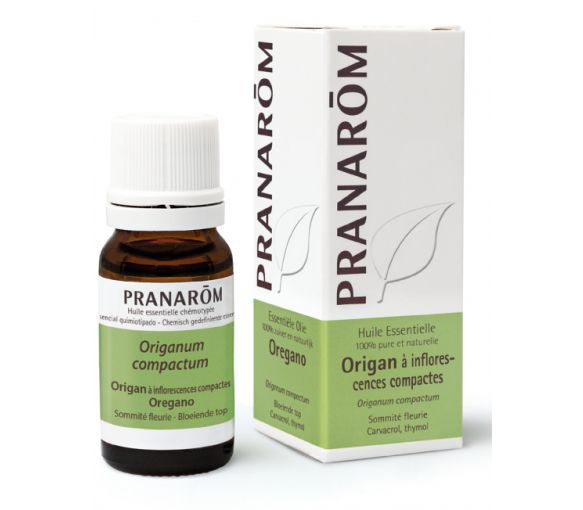 Ätherisches Öl von Oregano mit kompakten Blütenständen Pranarôm - Flasche mit 10 ml