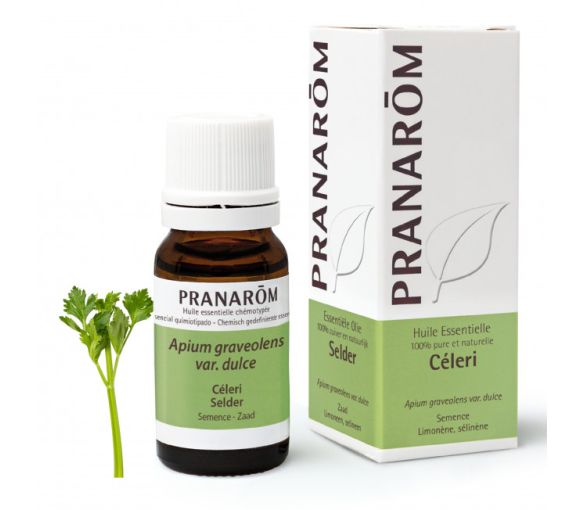 Ätherisches Öl von Sellerie Pranarôm - Flasche mit 10 ml