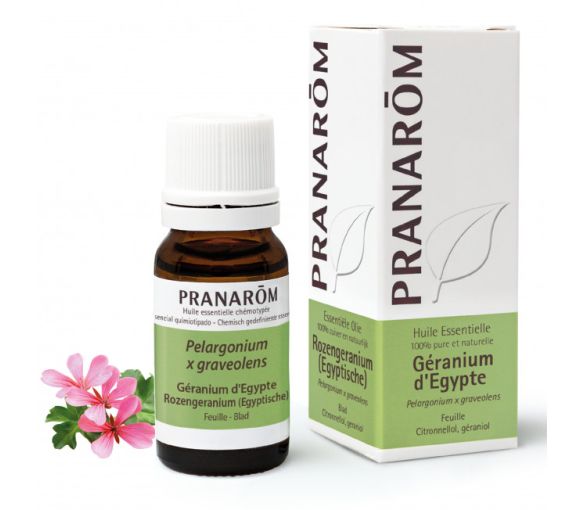 Ägyptisches Geranienöl Pranarôm - Flasche mit 10 ml