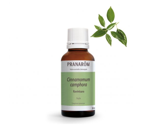 Ätherisches Öl von Ravintsara Bio Pranarôm - Flasche mit 30 ml