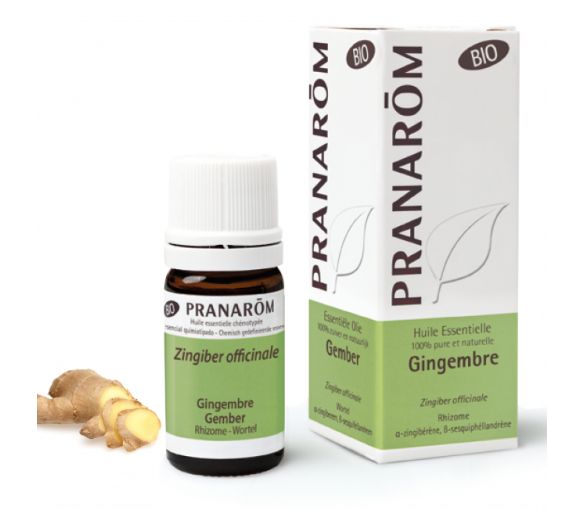 Bio Ingwer ätherisches Öl Pranarôm - Flasche mit 5 ml