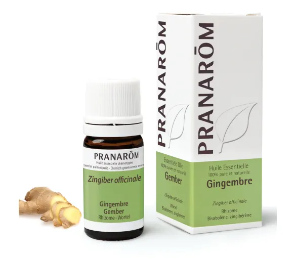 Ätherisches Öl Ingwer Pranarôm - Flasche 5 ml