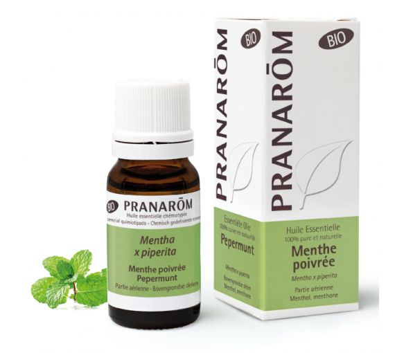Bio Pfefferminzöl Pranarôm - 10 ml Flasche