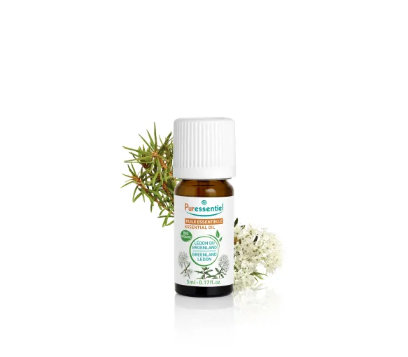 Bio ätherisches Öl von Grönland-Ledum Puressentiel - Flasche mit 5 ml - image 1
