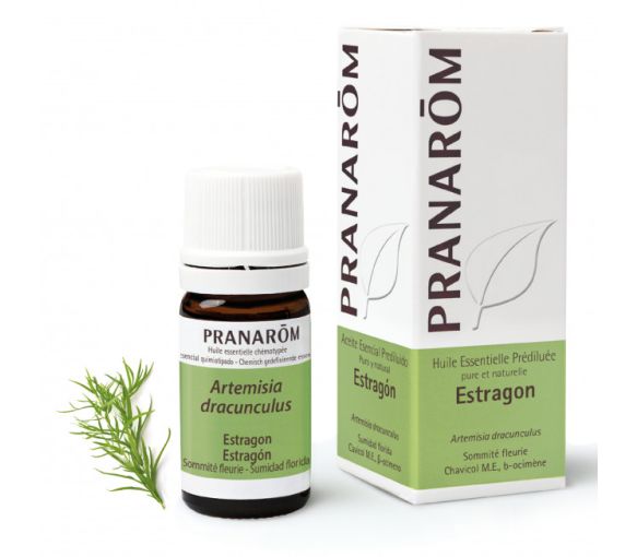 Präpariertes Estragon ätherisches Öl (Artemisia dracunculus) Pranarôm - Flasche mit 5 ml