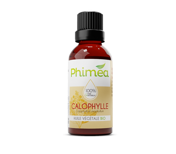 Bio-Kalophyllum-Pflanzenöl Phimea - 50 ml Flasche