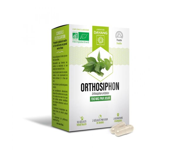 Orthosiphon bio Dayang - Packung mit 30 Kapseln - image 1