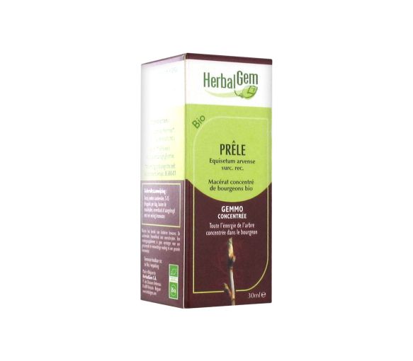 Schachtelhalm BIO Herbalgem - Flasche mit 30 ml