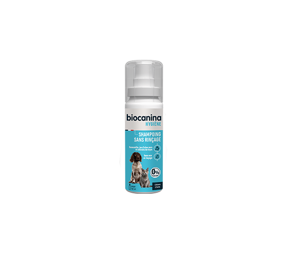 Shampoo ohne Ausspülen für Hunde und Katzen Biocanina - Spray mit 100 ml