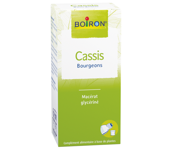 Sirop CASSIS Knospen Mazerat Glycerin Allergie, Hypotonie BOIRON - Flasche von 60 ml - image 1