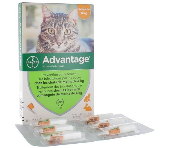 Vorteil 40 für Katzen und Kaninchen unter 4 kg Bayer - Schachtel mit 6 Pipetten