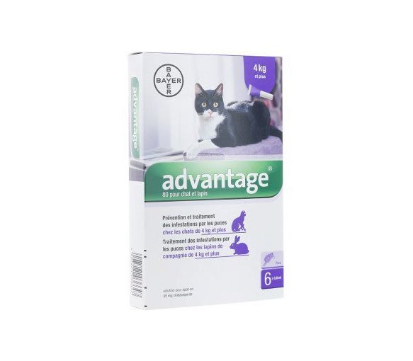 Vorteil 80 für Katzen und Kaninchen über 4 kg Bayer - Schachtel mit 6 Pipetten - image 1