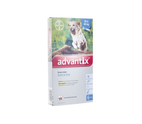 Advantix große Hunde über 25 kg Bayer - Packung mit 6 Pipetten