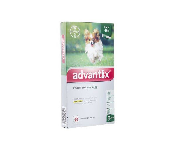 Advantix sehr kleine Hunde bis zu 4 kg Bayer - Packung mit 6 Pipetten