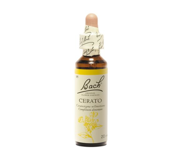 Bachblüte Cerato Ceratostigma willmottiana - Flasche mit 20 ml - image 1