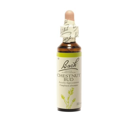 Bachblüte Kastanienknospe Aesculus hippocastanum - Flasche mit 20 ml - image 1