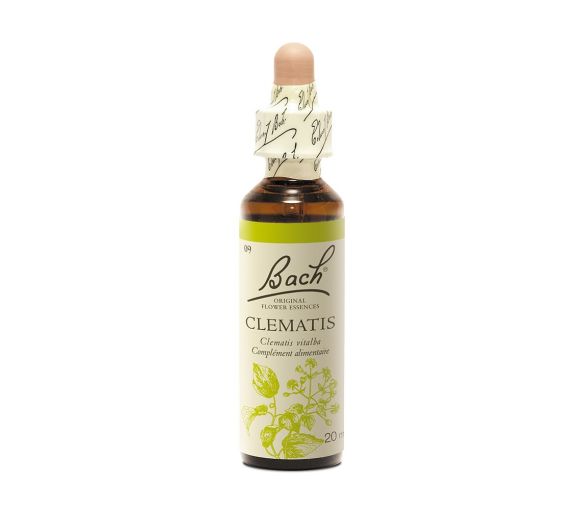 Bachblüte Clematis Clematis vitalba - Flasche mit 20 ml - image 1