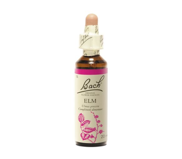 Bachblüte Ulme Ulmus procera - Flasche mit 20 ml - image 1