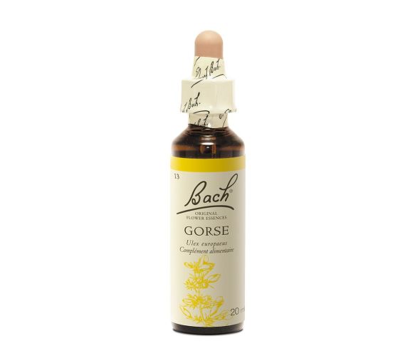 Bachblüte Gorse Ulex europaeus - Flasche mit 20 ml - image 1
