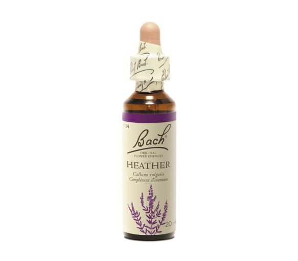 Bachblüte Heidekraut Calluna vulgaris - Flasche mit 20 ml - image 1