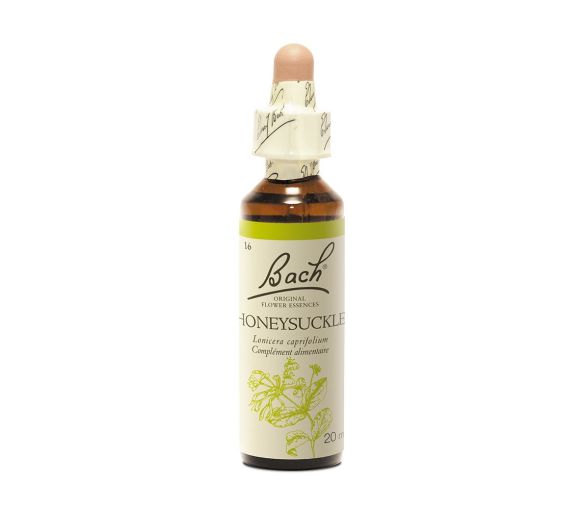 Bachblüte Geißblatt Lonicera caprifolium - Flasche mit 20 ml - image 1
