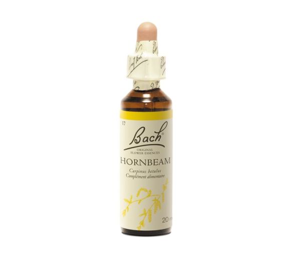 Bachblüte Hornbeam Carpinus betulus - Flasche mit 20 ml - image 1